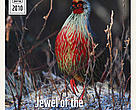 The Eastern Himalayas: The Jewel of the Sacred Himalayas