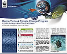 Marine Turtle & Climate Change Program in LAC - a Proactive Stance from Science to Action