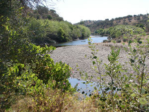 Parque Natural do Vale do Guadiana / &copy;: WWF - Mediterrâneo