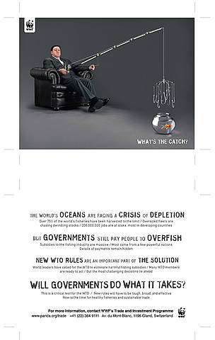  / &copy;: WWF