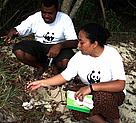 WWF Staff, Sanivalati Navuku and Penina Solomona, are surveying one of the turtle nesting beach at ... / &copy;: WWF-Fidji