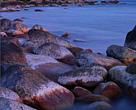 WWF report highlights “invisible” algae blooms in the Baltic Sea