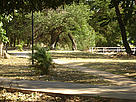 Area in Santa Cruz, Bolivia, where the forest certification walkway will be located, a joint effort ... / ©: WWF-Canon / Mónica VARGAS Area in Santa Cruz, Bolivia, where the forest certification walkway will be located, a joint effort ... / ©: WWF-Canon / Mónica VARGAS