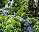 Waterfall at Altamachi Protected Area, Cochabamba, Bolivia (Pre-Andean Amazon).