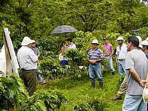 Los programas de capacitación en el campo han permitido a los participantes compartir experiencias ... / ©: WWF Centroamérica / ©: WWF Centroamérica