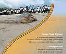 Playa Chiriquí - Conservación en consonancia con la tradición cultural