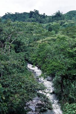  / &copy;: WWF Centroamérica
