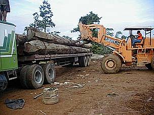  / &copy;: WWF Centroamérica
