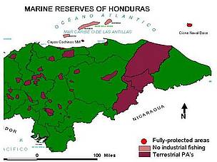 Mapa de Áreas Totalmente Protegidas en Honduras / ©: WWF Centroamérica / ©: WWF Centroamérica