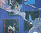 WWF Centroamérica - Revista Nº2