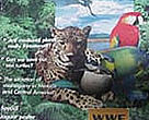 WWF Centroamérica - Revista Nº5