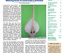 WWF Cambodia newsletter Jan-Mar 07.