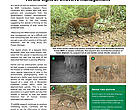 WWF Cambodia Newsletter, special edition