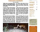 WWF Cambodia newsletter, Oct-Dec 2007