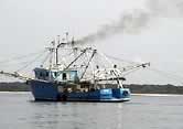 Illegal trawler off Loango National Park / ©: WWF-Canon / Roger Boussougou (Park Warden, Loango North National Park) llegal trawler off Loango National Park / ©: WWF-Canon / Roger Boussougou (Park Warden, Loango North National Park)