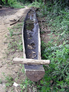 / &copy;: WWF Guianas