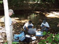  / &copy;: WWF Guianas