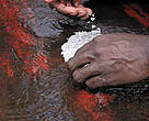 Gold miner handles mercury with bare hands, putting him in immediate danger of mercury poisoning.