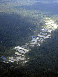  / &copy;: WWF Guianas