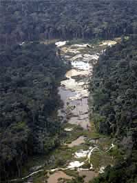  / &copy;: WWF Guianas