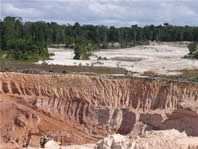  / &copy;: WWF Guianas