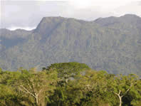  / &copy;: WWF Guianas