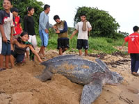  / &copy;: WWF Guianas