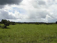  / &copy;: WWF Guianas