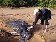 / &copy;: WWF Guianas