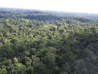  / &copy;: WWF Guianas