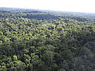  / &copy;: WWF Guianas