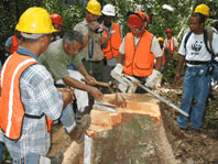  / &copy;: WWF Guianas