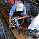 &copy; WWF-Indonesia/Samsuardi