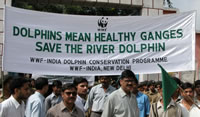 Indian students rally for the Ganges river dolphin. / ©: WWF-India / ©: WWF-India