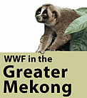 WWF Greater Mekong Programme / ©: WWF-Canon / Mikaail KAVANAGH WWF Greater Mekong Programme / ©: WWF-Canon / Mikaail KAVANAGH