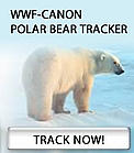 WWF-Canon Polar Bear Tracker / &copy;: Michel TERRETTAZ / WWF-Canon