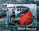 WWF recipe for legal fish in the Baltic Sea