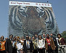 Members of the  International Tiger Coalition stand in front of the mosaic