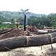 The slash and burn method, though illegal, is used by local farmers to clear forests for land cultivation. This is one of the problems WWF-WAFPO is working to address.