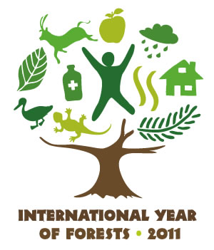 Year of the Forest 2011 / ©: UN Year of the Forest 2011 logo / ©: UN