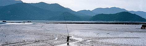 Fishing in the mudflats of the Yellow Sea, Jeollanam-do, South Korea. / ©: WWF-Japan rel=