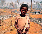 Young boy in forest burnt for cultivation, Madagascar.