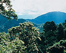 Xishuangbanna Nature Reserve, Yunnan Province, China.