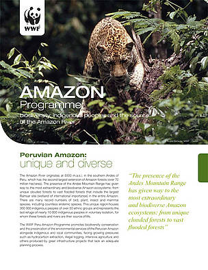 Amazon Programme. Biodiversity, indigenous peoples and the source of ...